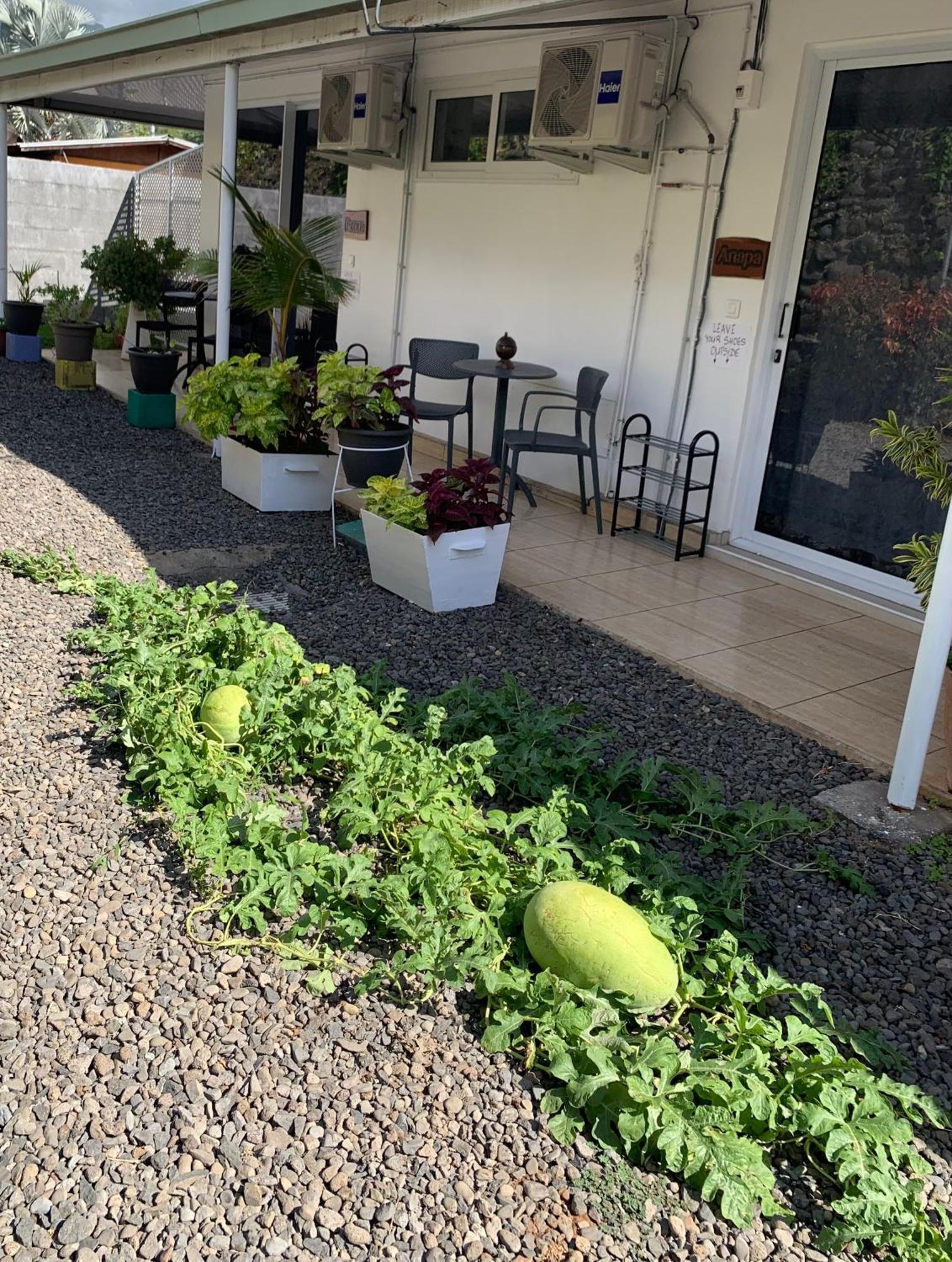 Faaa A Tomo Mai Homestay, Close To Airport, Private Bathroom Free Parking And Wifi With High Connection And Breakfast Optional מראה חיצוני תמונה